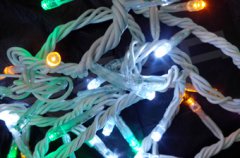 LED luces de Navidad bombilla cadena de cadena de la lámpara FY-60110 -FY 60110 Bombilla de la cadena de LED baratos navidad lámpara cadena Luces de la secuencia del LED