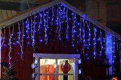 FY-60107 cortina de luz de la lámpara del bulbo de Navidad AF 60107-cortina luces de la lámpara del bulbo barato navidad